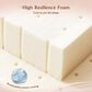 HOMLUX Plush Full Mattress with Blue Headboard, , large