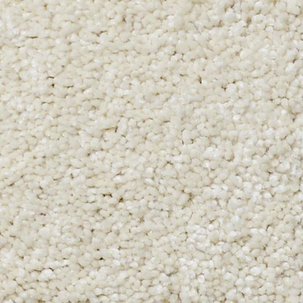 Anderson Tuftex Pawparazzi II Carpet in Antiquity, , large