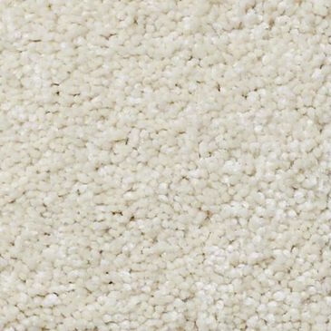 Anderson Tuftex Pawparazzi II Carpet in Antiquity, , large