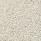 Anderson Tuftex Pawparazzi II Carpet in Antiquity, , large