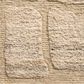 Loloi Hughes Natural 5"6" x 8"6" Area Rug, , large