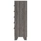 Ashley Sylveri 5-Drawer Chest in Gray, , large