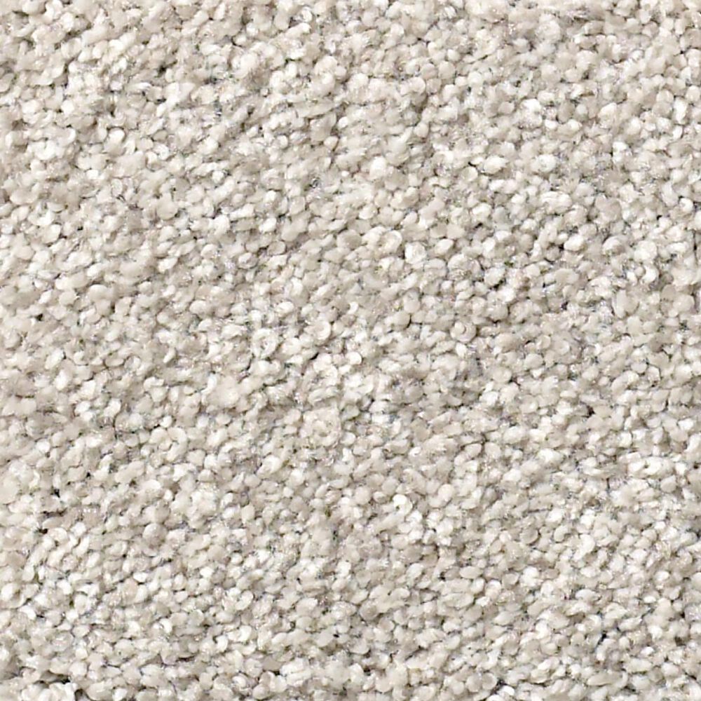 Shaw Find Your Comfort TT I Carpet in Chill in The Air, , large