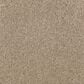 Mohawk Windsor Gardens II Carpet in Hearth Beige, , large
