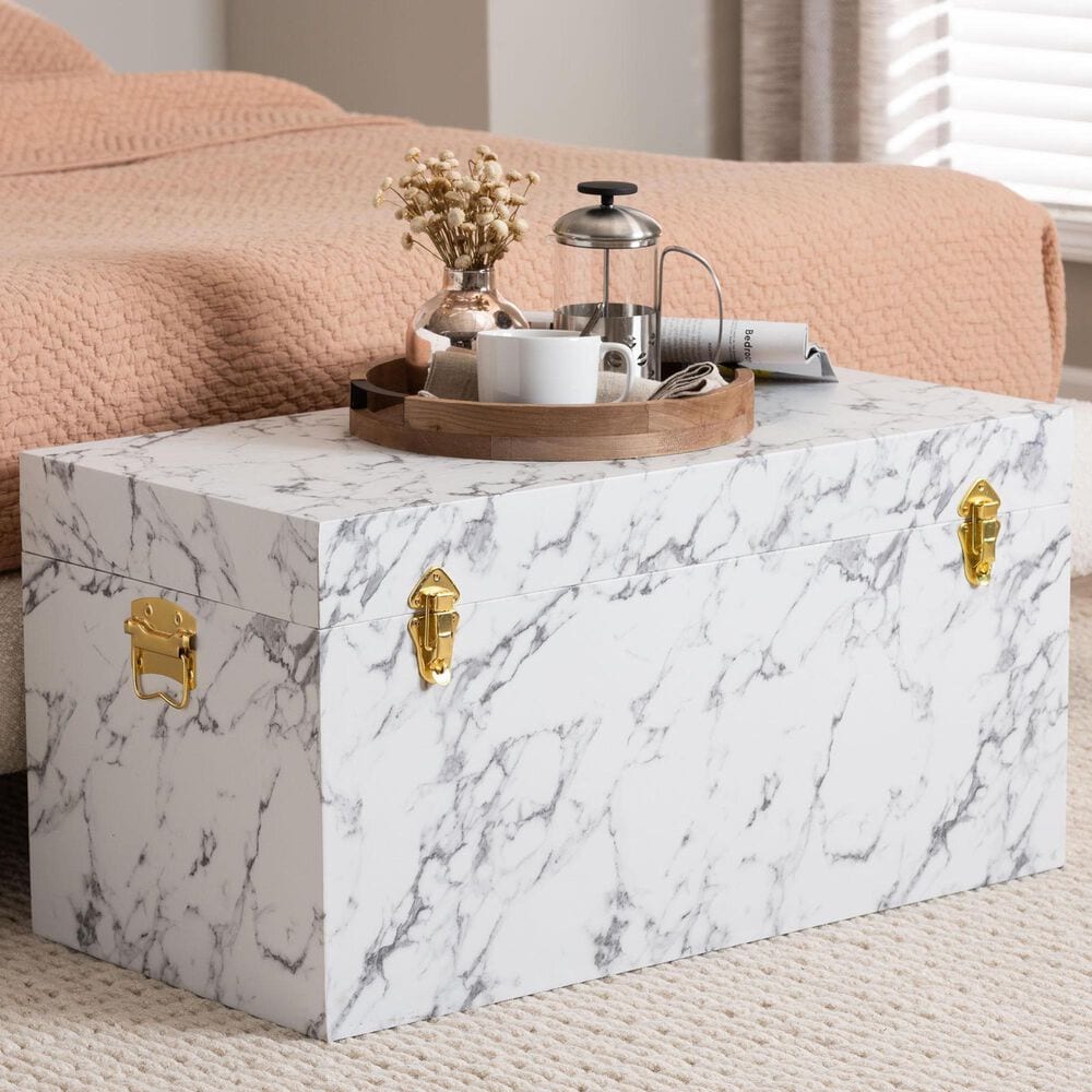 Baxton Studio Brenta Lift-Top Storage Trunk in White and Grey, , large