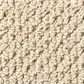 Anderson Tuftex Crafted Carpet in Beach Haven, , large