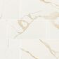 MS International Eden Calacatta 24" x 48" Polished Porcelain Tile, , large