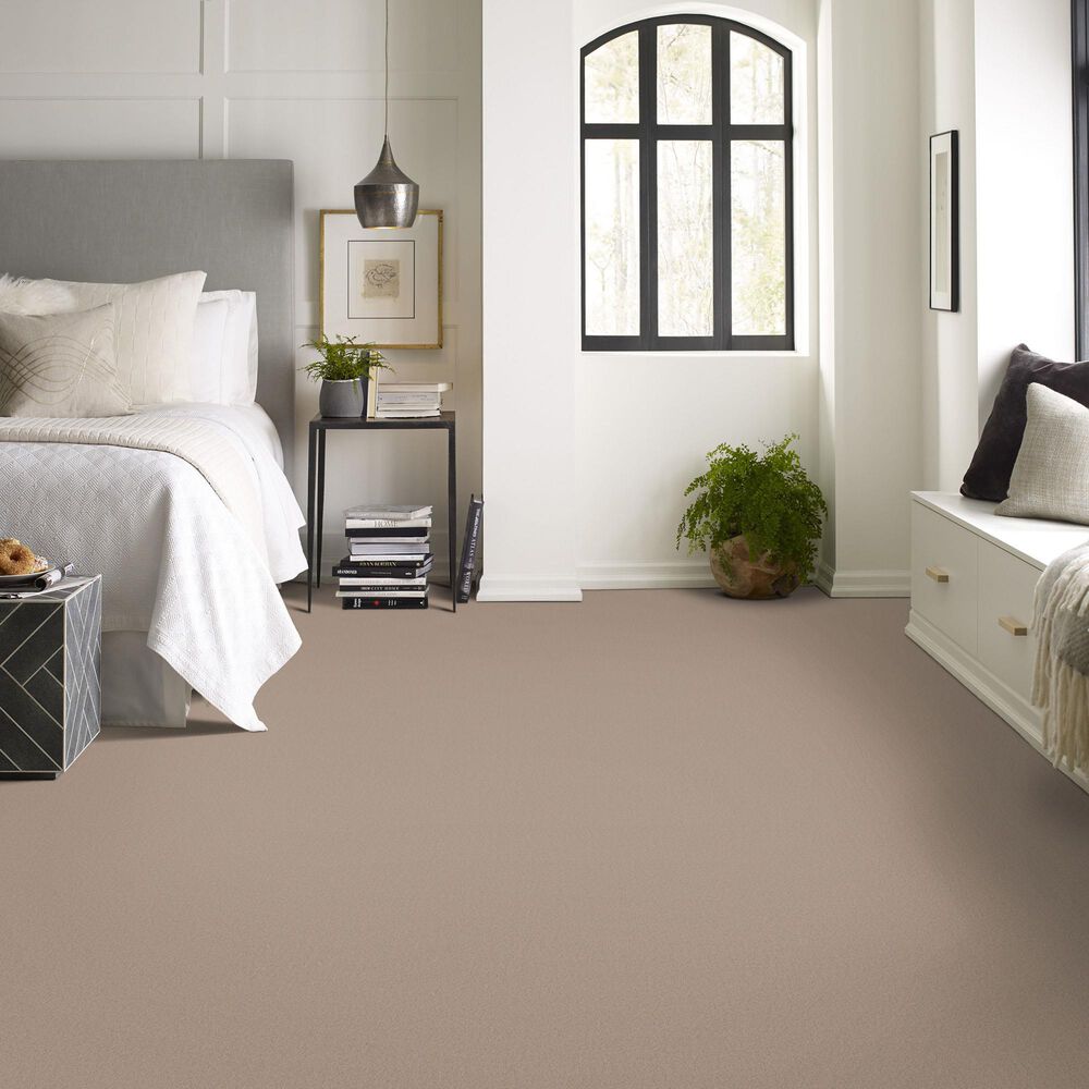 Anderson Tuftex Finery Carpet in Pebble Path, , large
