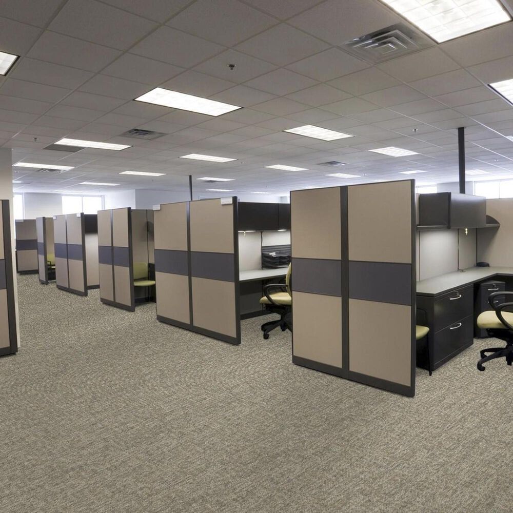 Shaw Crazy Smart 18&quot; x 36&quot; Carpet Tile in Astute, , large