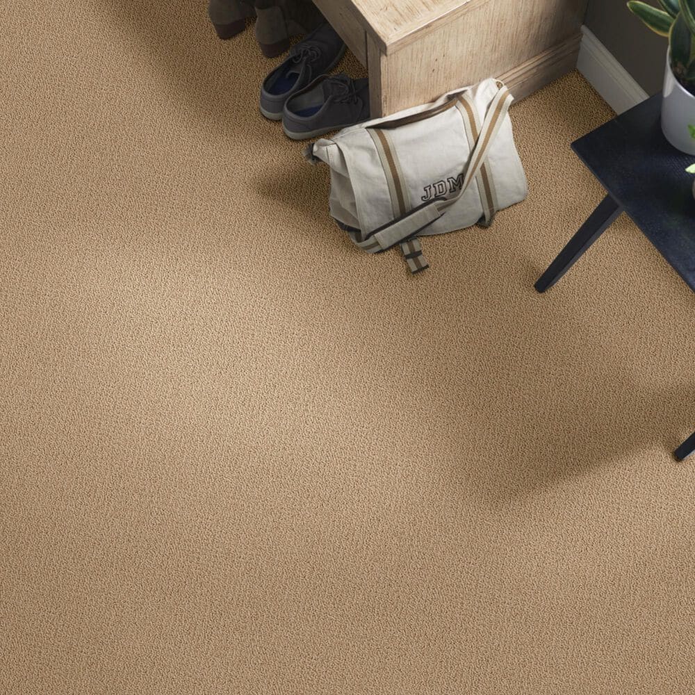 Shaw Detailed Statement Loop Carpet in Honey Pot, , large