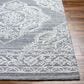 Surya Piazza PZZ-2301 2" x 3" White, Gray Area Rug, , large