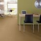 Shaw Perpetual Move Carpet in Warmth, , large