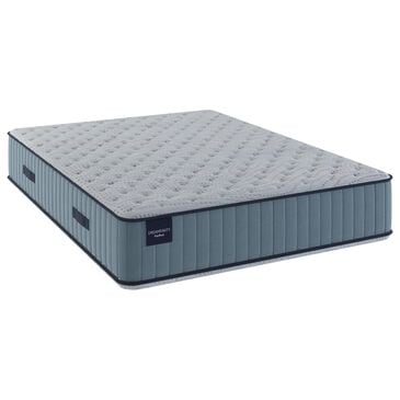 Dreamfinity Fliprest Firm Queen Mattress, , large