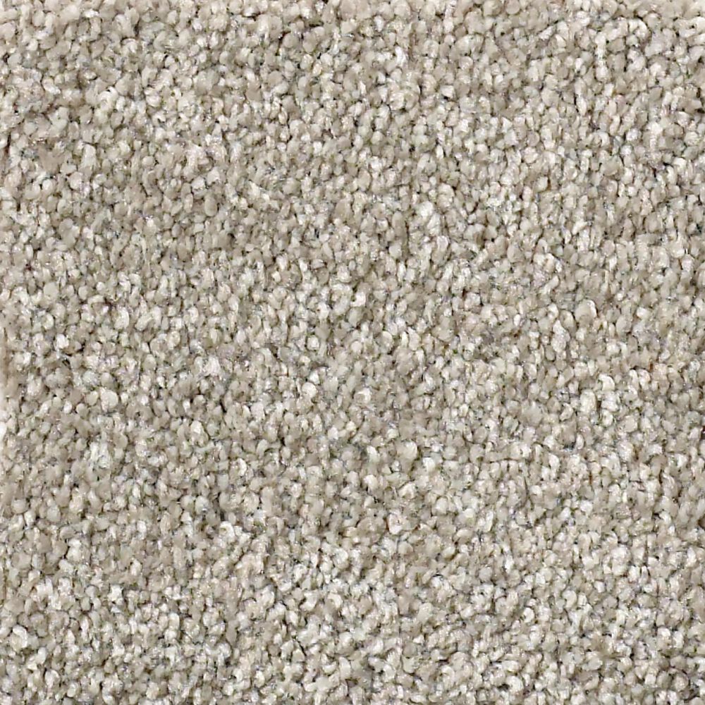 Shaw Your Comfort I Carpet in Back Patio, , large
