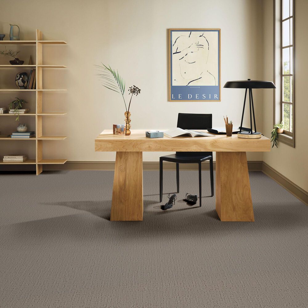 Anderson Tuftex Adair Carpet in Class Act, , large