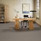 Anderson Tuftex Adair Carpet in Class Act, , large