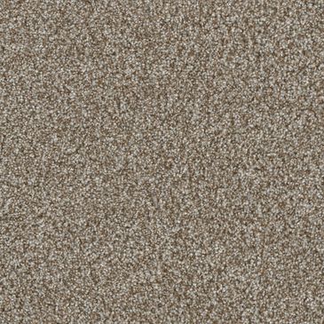 Dream Weaver Jackson Hole II Carpet in Gravel, , large