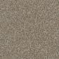 Dream Weaver Jackson Hole II Carpet in Gravel, , large