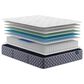 Serta Perfect Sleeper Select Aksarben Plush Queen Mattress with High Profile Box Spring, , large