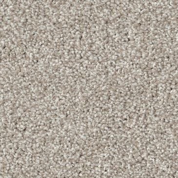 Philadelphia Delicate Feel II Carpet in Beige Mist, , large