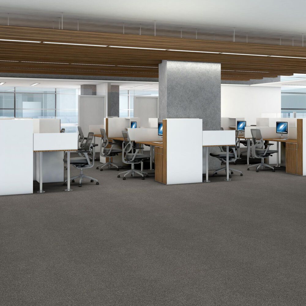 Shaw Truspirit II Carpet in Quarry, , large