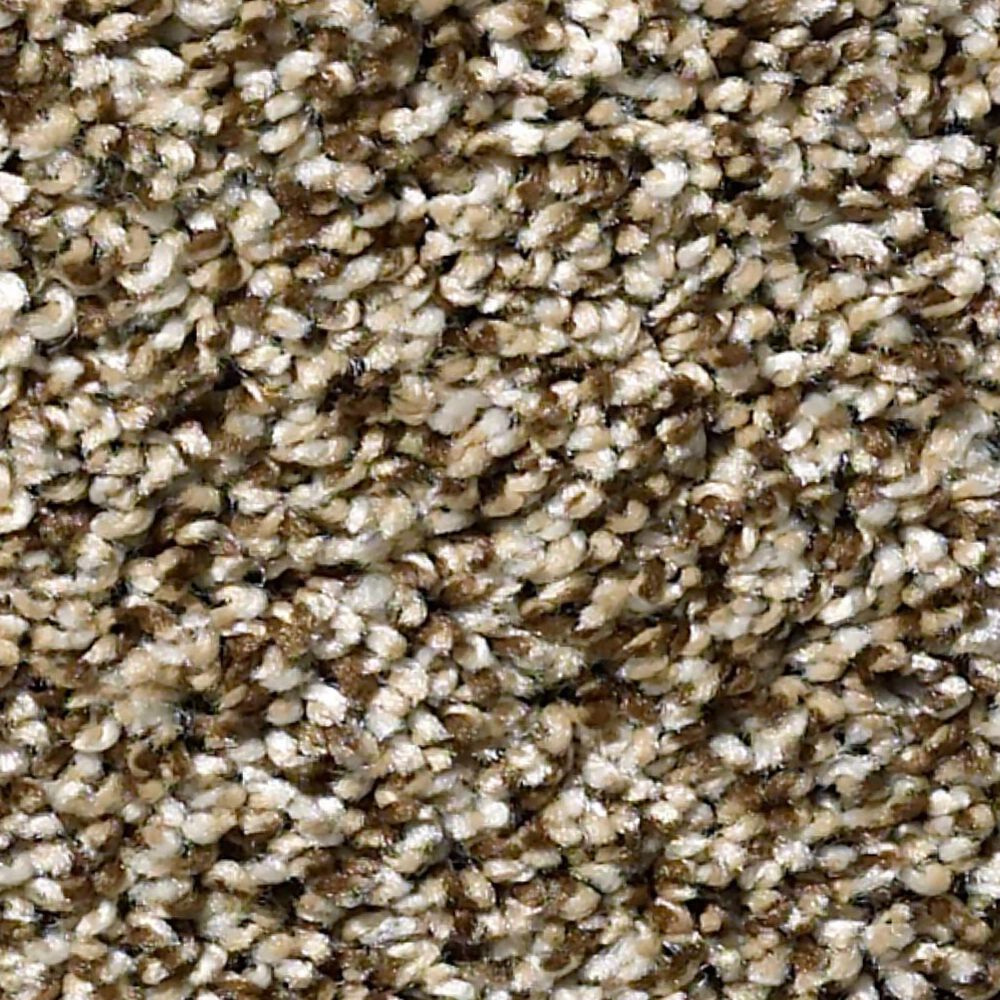 Shaw Simply the Best All About It Carpet in Honey Bear, , large