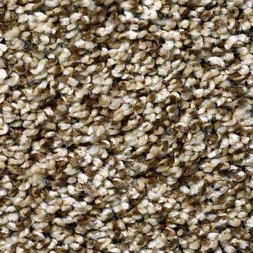 Shaw Simply the Best All About It Carpet in Honey Bear, , large