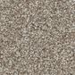 Shaw Affirmation I Carpet in Plateau, , large