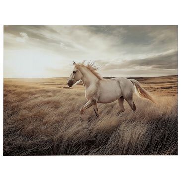 Ashley Errolville 48" x 36" Wall Art in Multicolor, , large