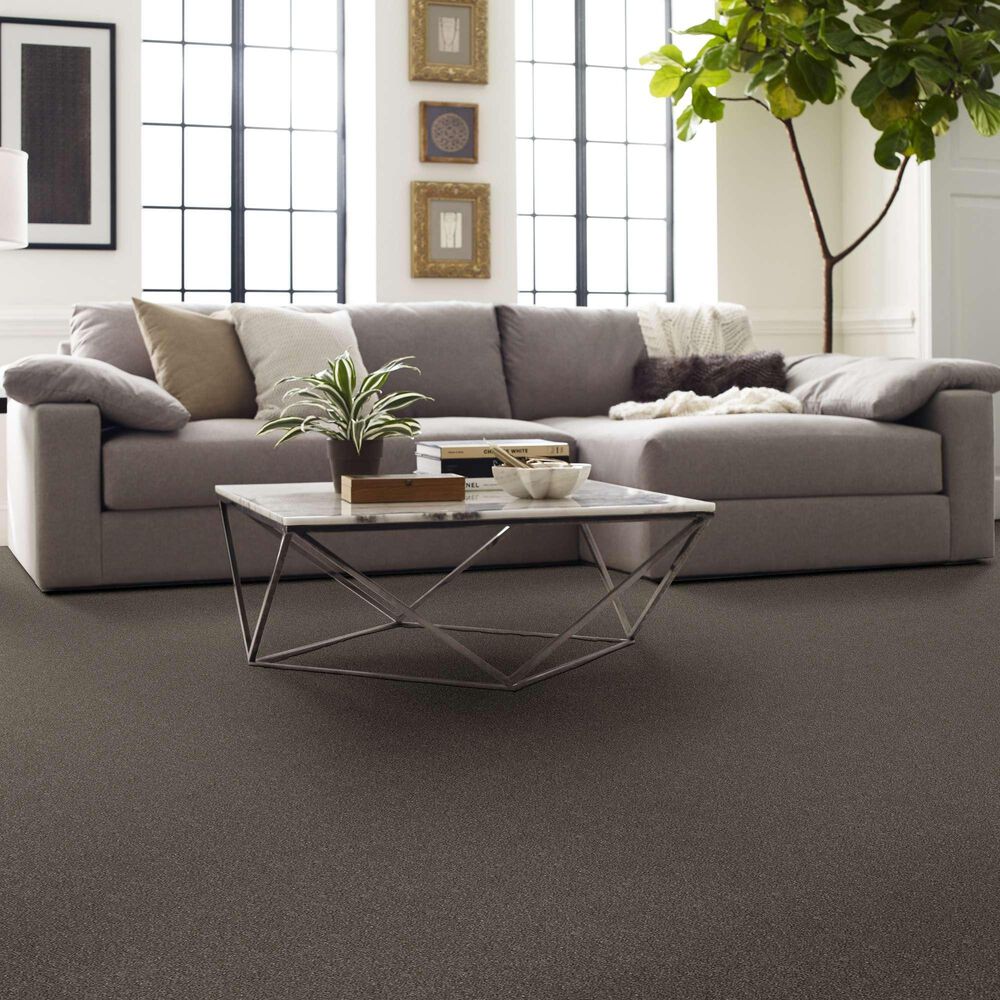 Shaw Without Limits II Carpet in Travatan, , large