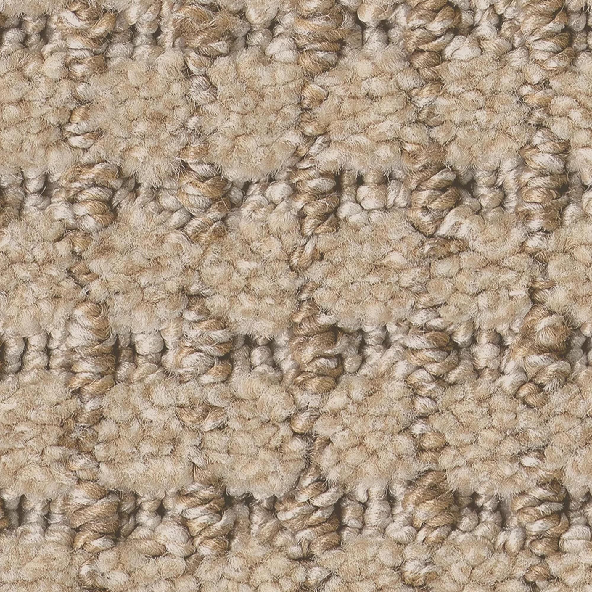 Anderson Tuftex Rhode Carpet in Cork