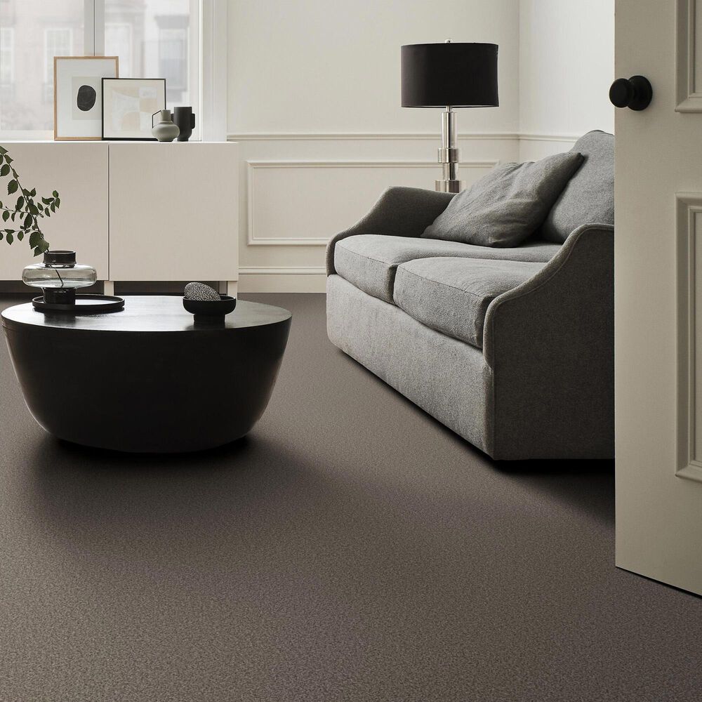 Anderson Tuftex Avalon Bay Carpet in Ottertail, , large