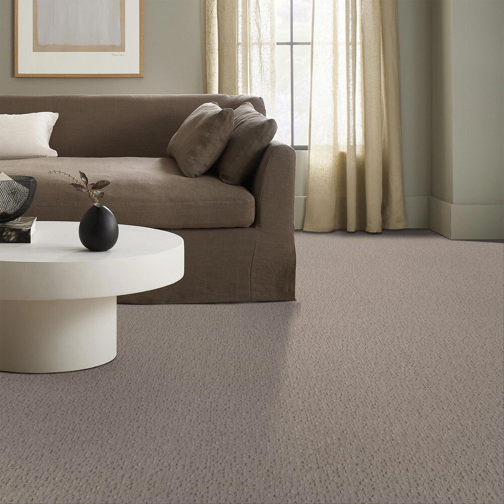 Anderson Tuftex Ambitious Carpet in Pebble Bath, , large