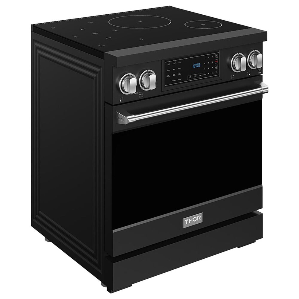 Thor Kitchen Gordon Ramsay 4.8 Cu. Ft. Professional Induction Range with Stainless Steel Handle Kit in Black, , large