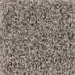Shaw Bellera Calm Serenity II Carpet in Dark Maple, , large