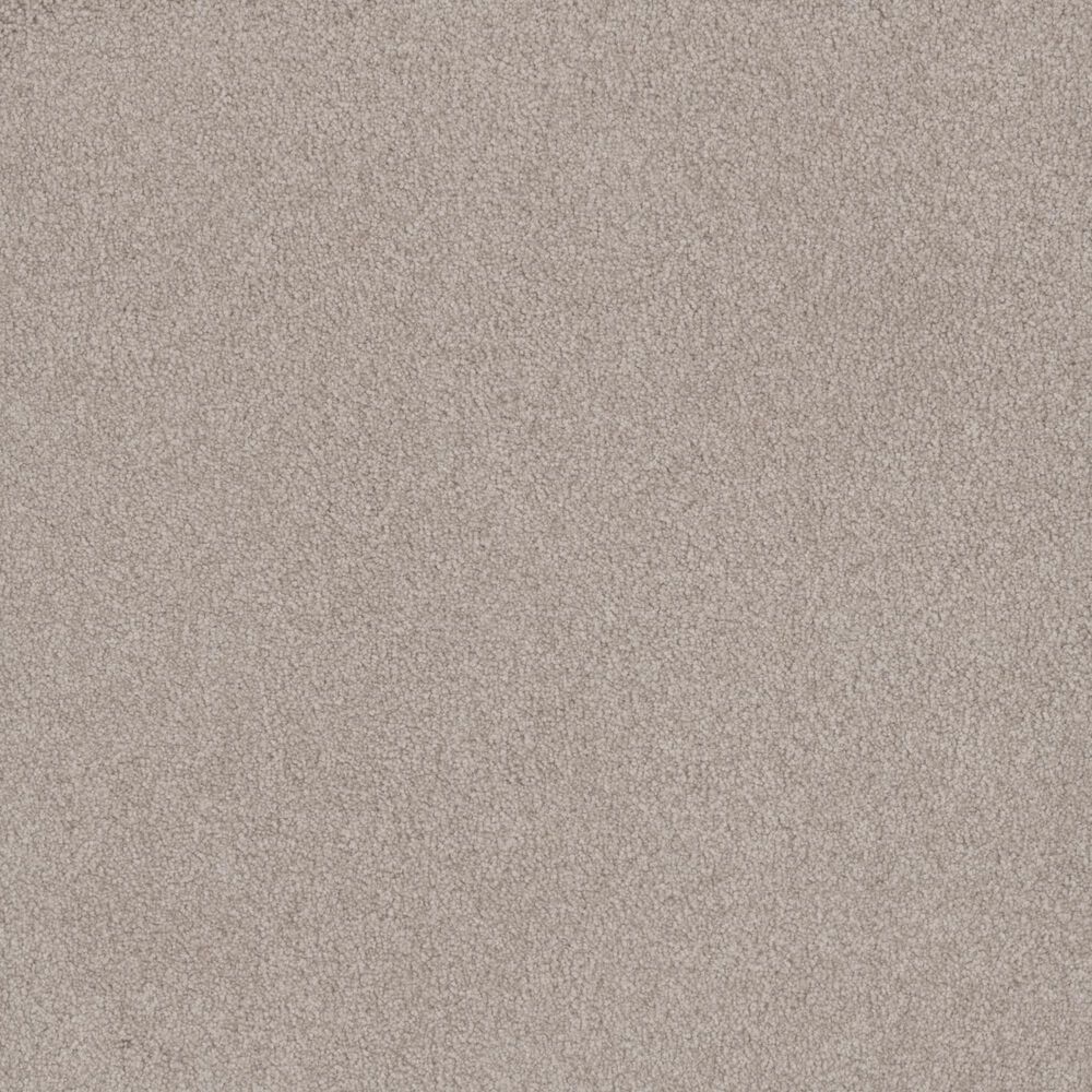 Phenix Signature Gold Carpet in Taupe, , large