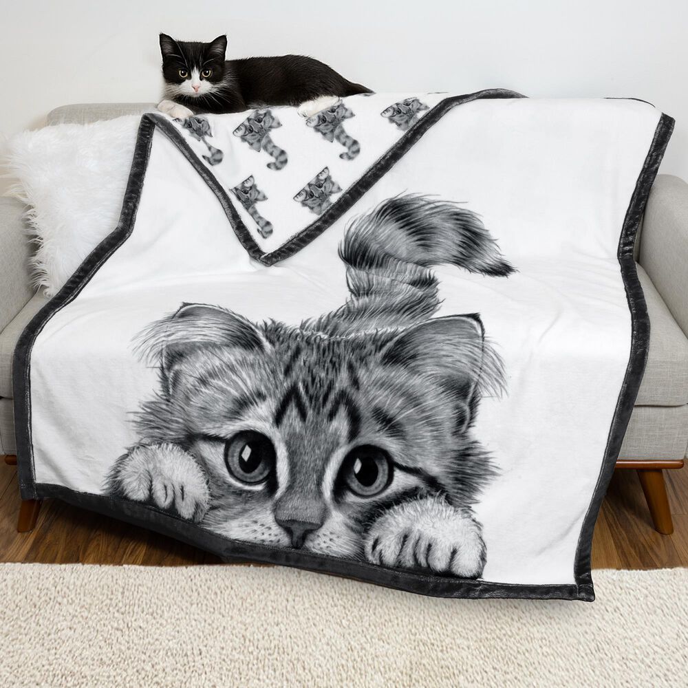 Pavilion Animal Antics Cat Royal Plush Blanket in White, , large