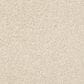 Shaw Del Morro Carpet in Luminary, , large