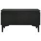 Blue River Legend 1-Drawer Nightstand in Black, , large