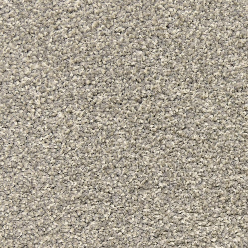 Dixie Home Escalante Carpet in Dove, , large
