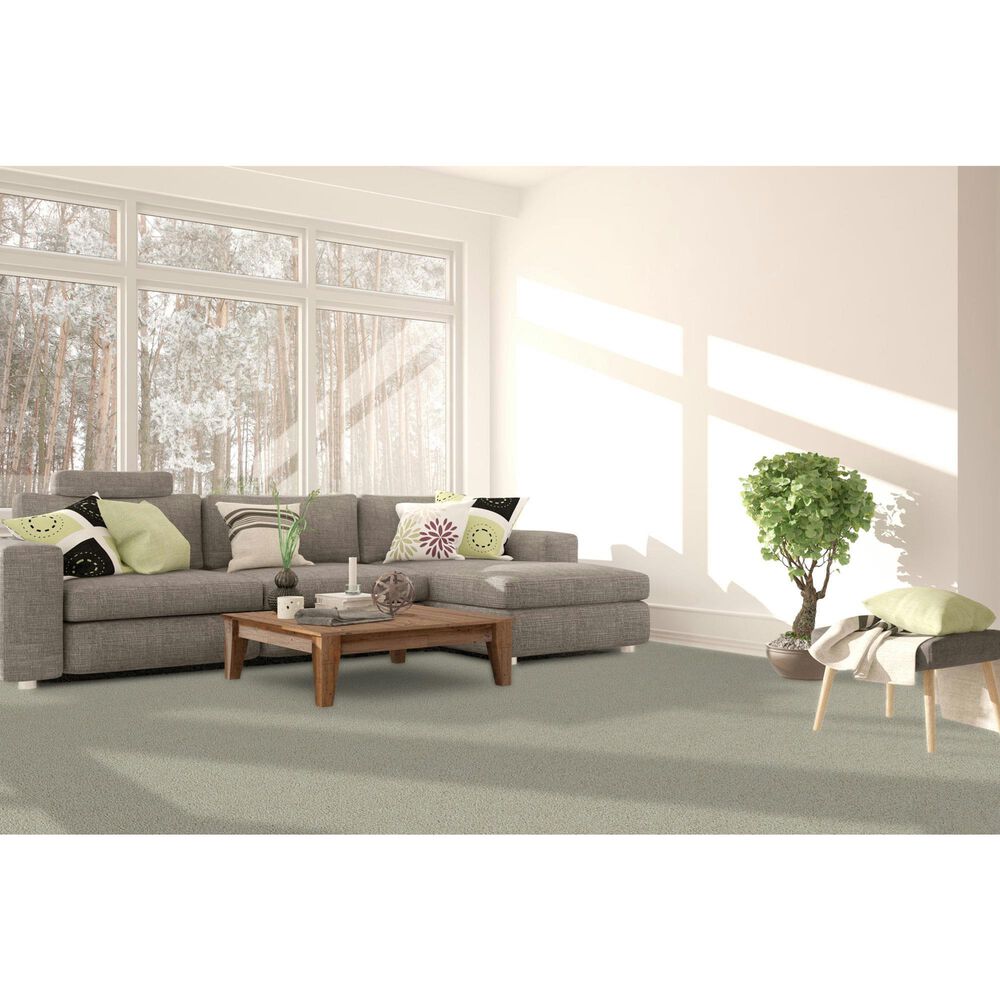 Dream Weaver Clear Skies I Carpet in Pale Oak, , large
