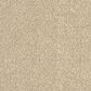 Revolution Mills Magic Moment II Carpet in Westwood, , large