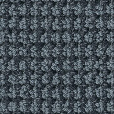 Anderson Tuftex Inspired Carpet in Indigo, , large