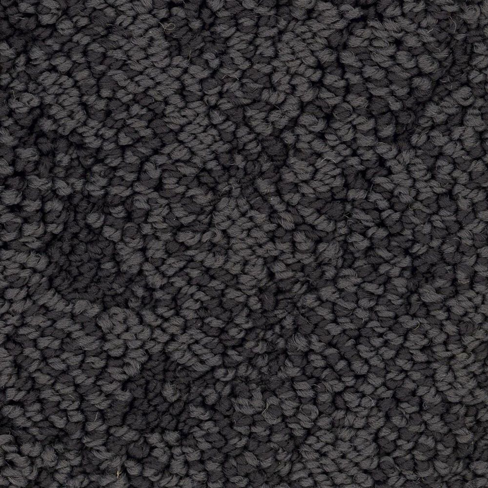 Anderson Tuftex Lavish Living Carpet in Wrought Iron, , large