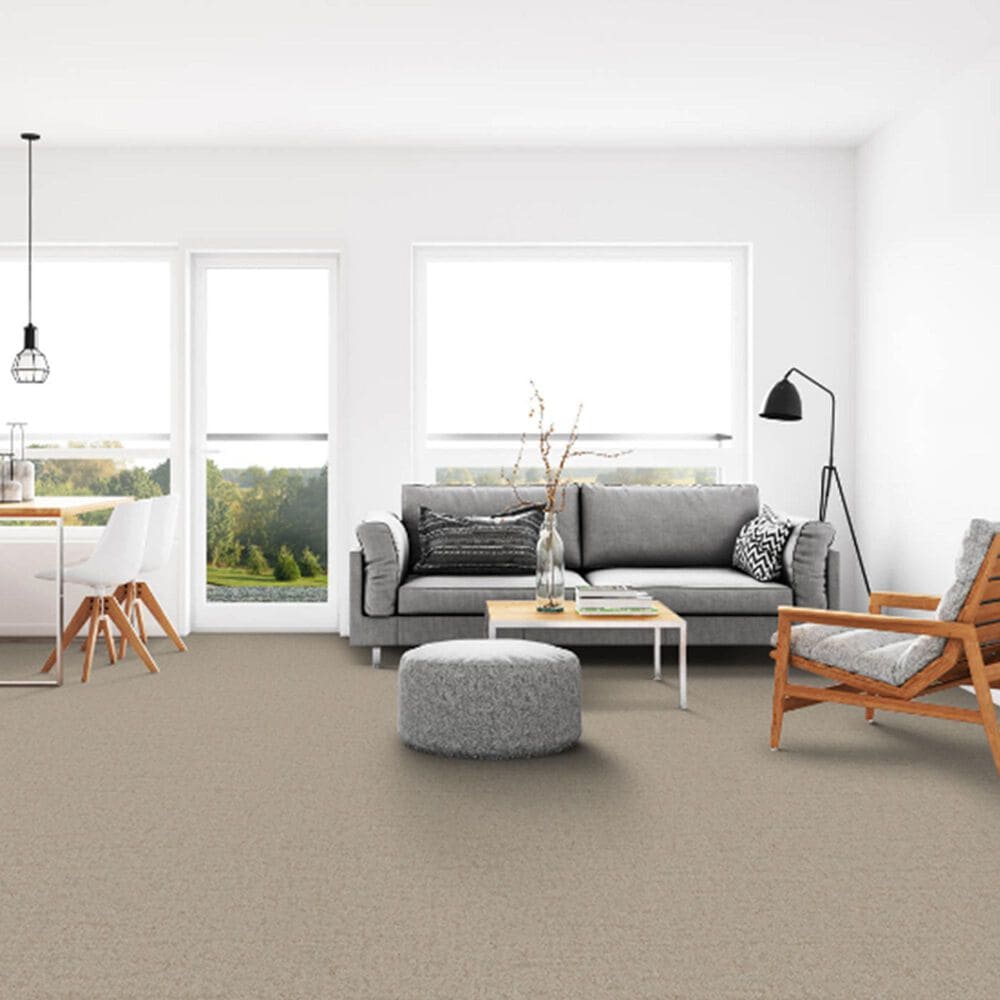 Dixie Home Genuine Carpet in Probable, , large