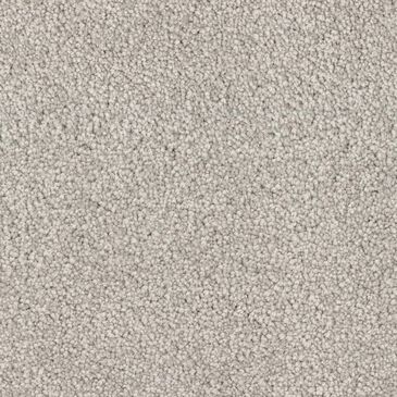 Dixie Home Gentle Wind Carpet in Pelican, , large