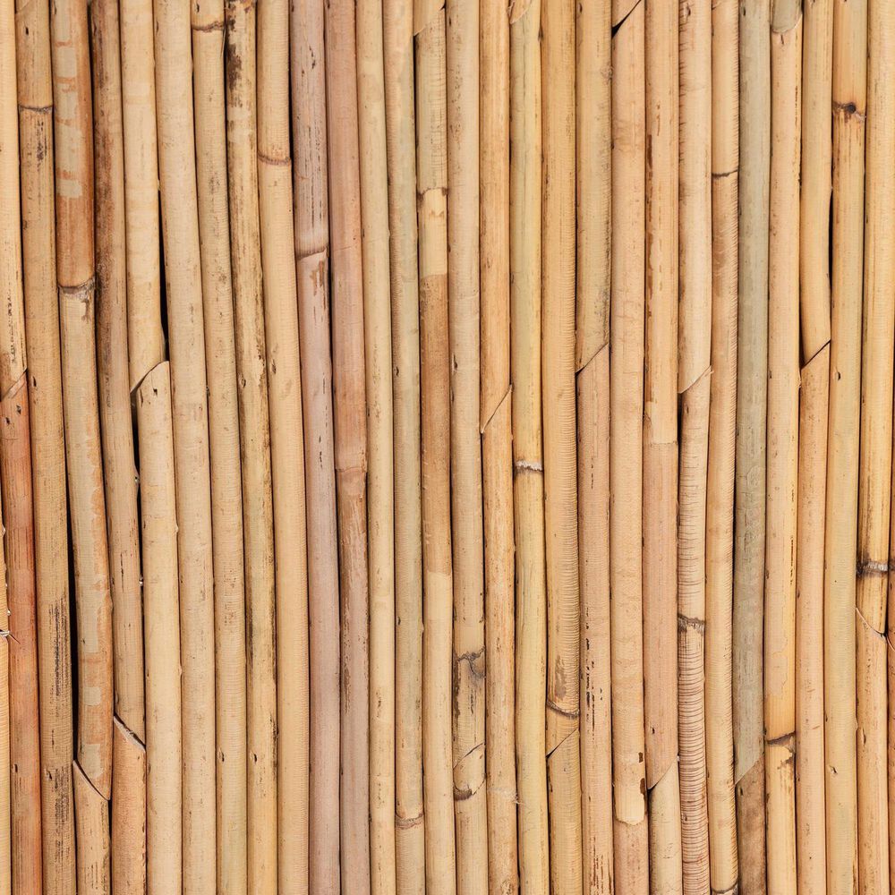 Baxton Studio Rosina 1-Drawer Nightstand in Natural, , large