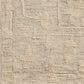 Loloi Cynthia Sky and Natural 8"6" x 11"6" Area Rug, , large
