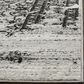 Safavieh Adirondack ADR101A-10 10" x 14" Silver/Black Area Rug, , large