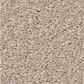 Shaw Las Cruces Carpet in Marble, , large